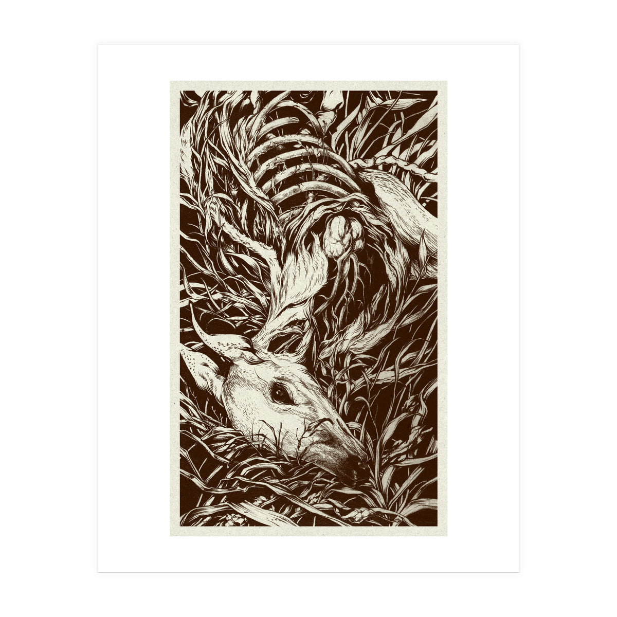 Doeeyed (Print Only)