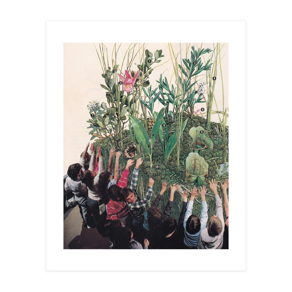 Grow Up (Print Only)