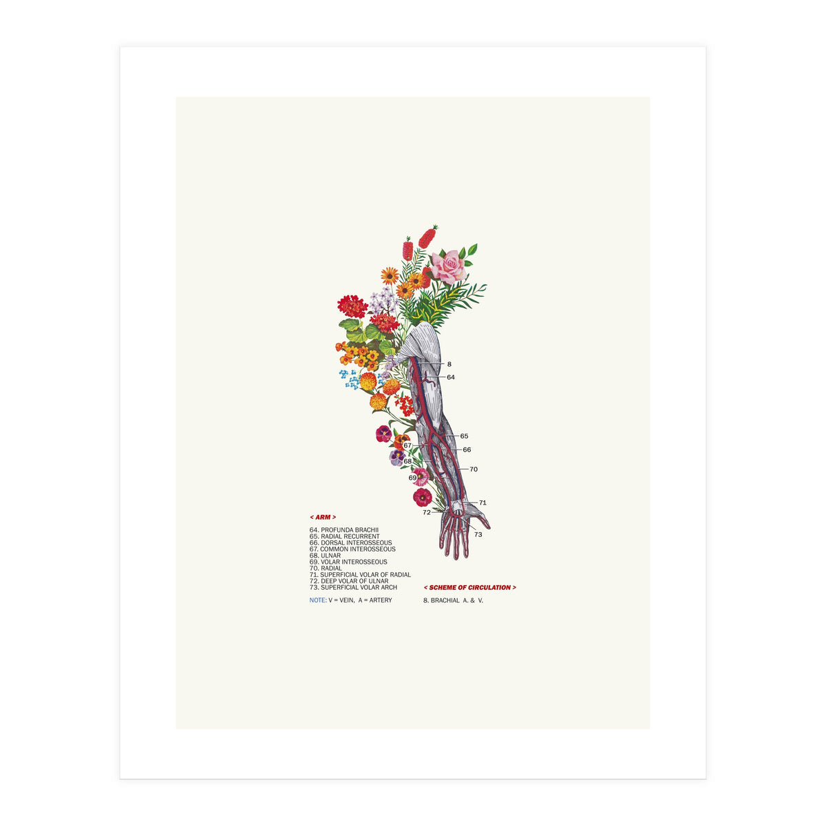 Spring (Print Only)