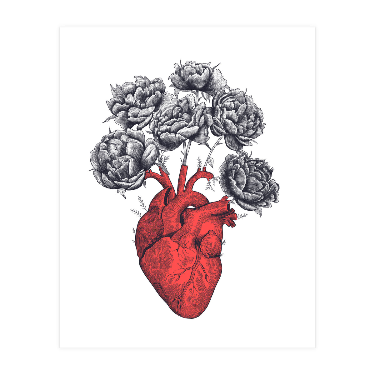 Heart With Peonies (Print Only)
