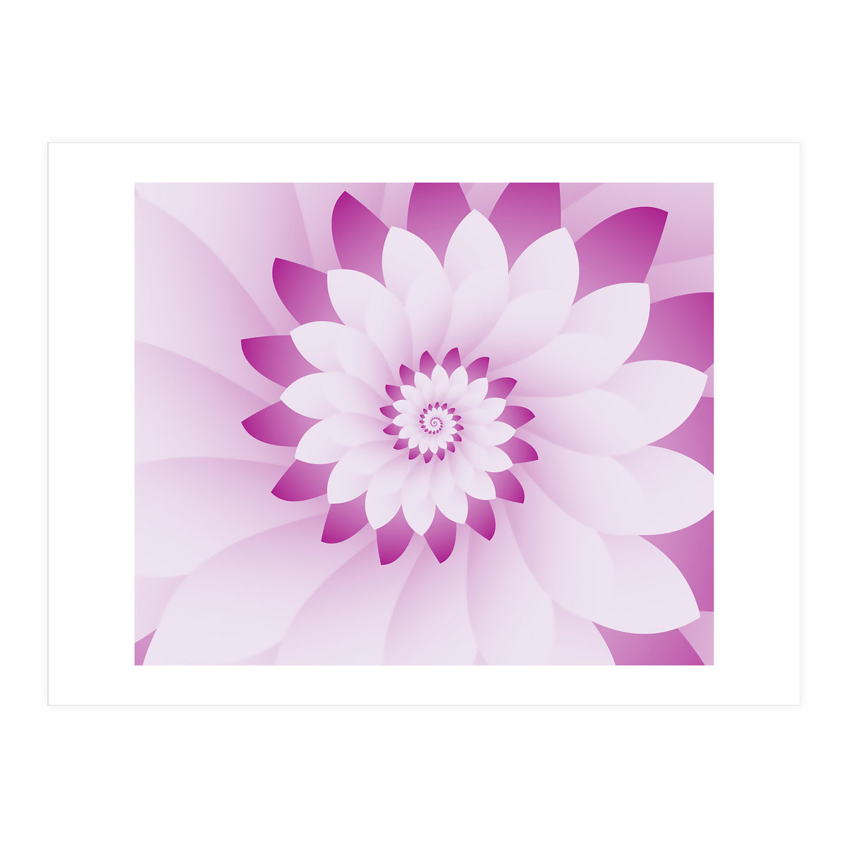 Abstract Pink & White Floral Design (Print Only)