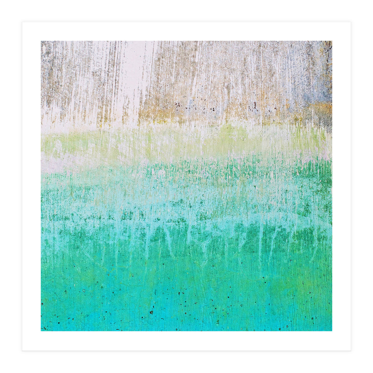 Cora (Print Only)