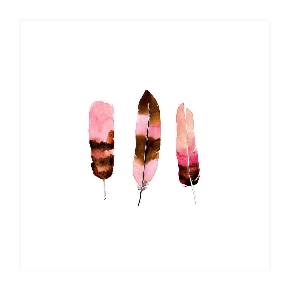 Blush Feathers (Print Only)