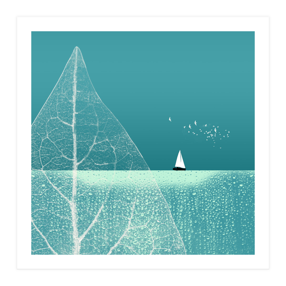 Ocean Wonderland Ii-B (Print Only)