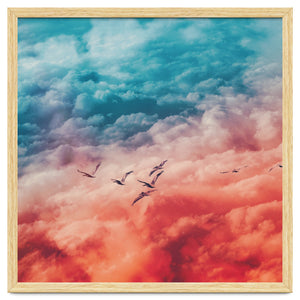 Above by Shorsh