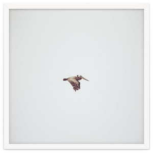 Solo Flight by Kevin Russ