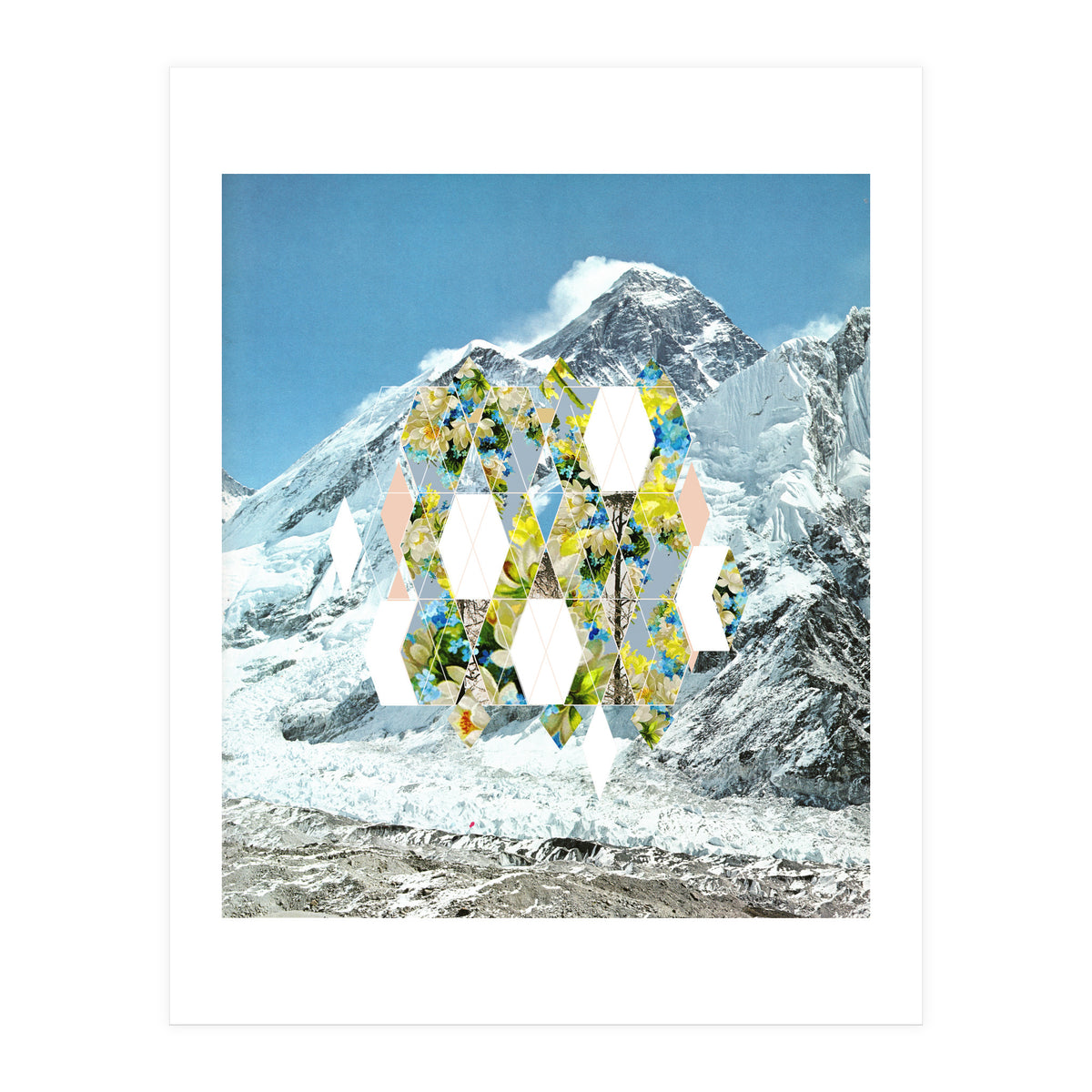 Mountain Flower (Print Only)