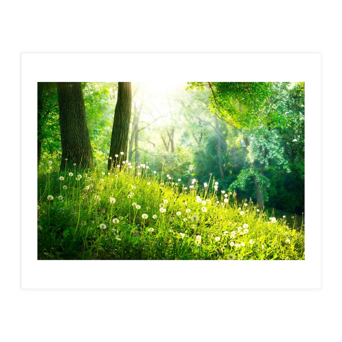 Nature (Print Only)