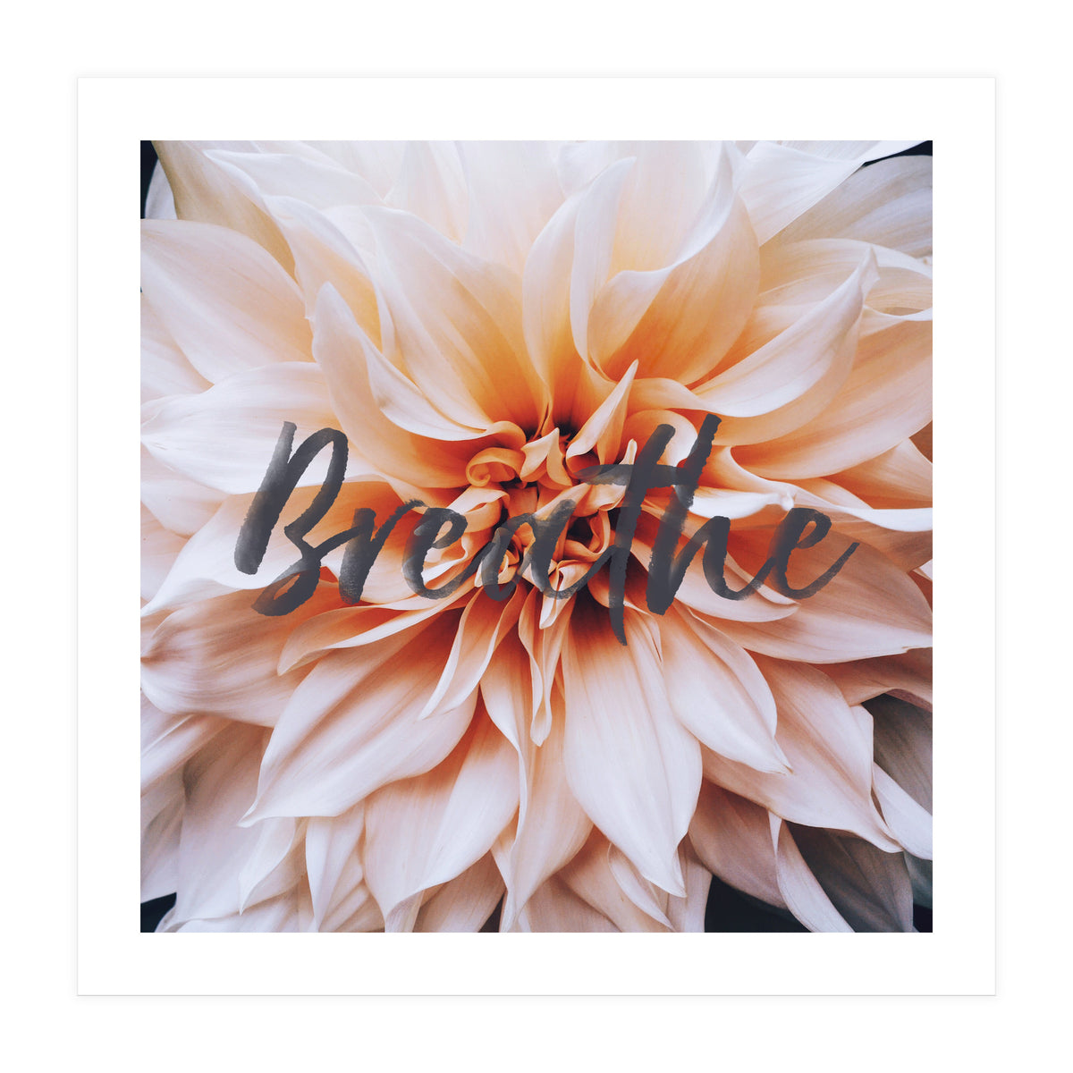 Breathe (Print Only)