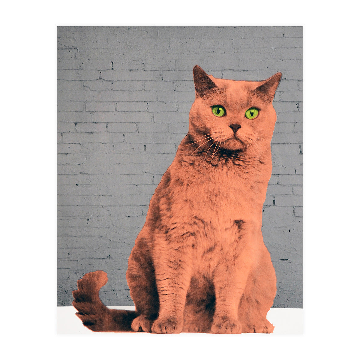 Everybody Wants To Be A Cat (Print Only)