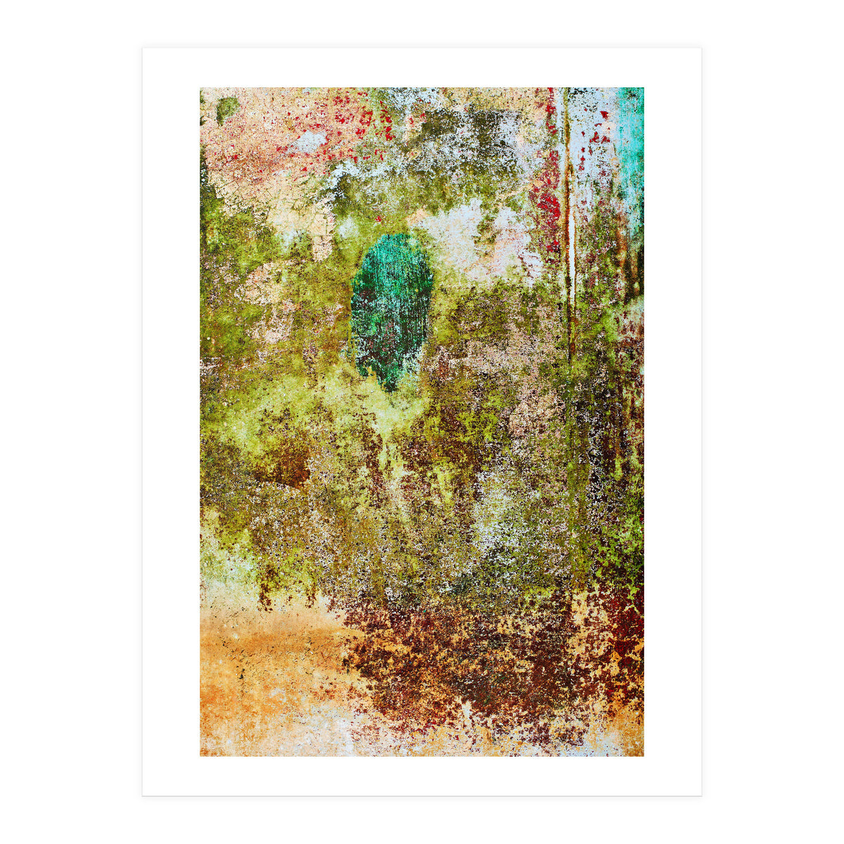 Oak (Print Only)