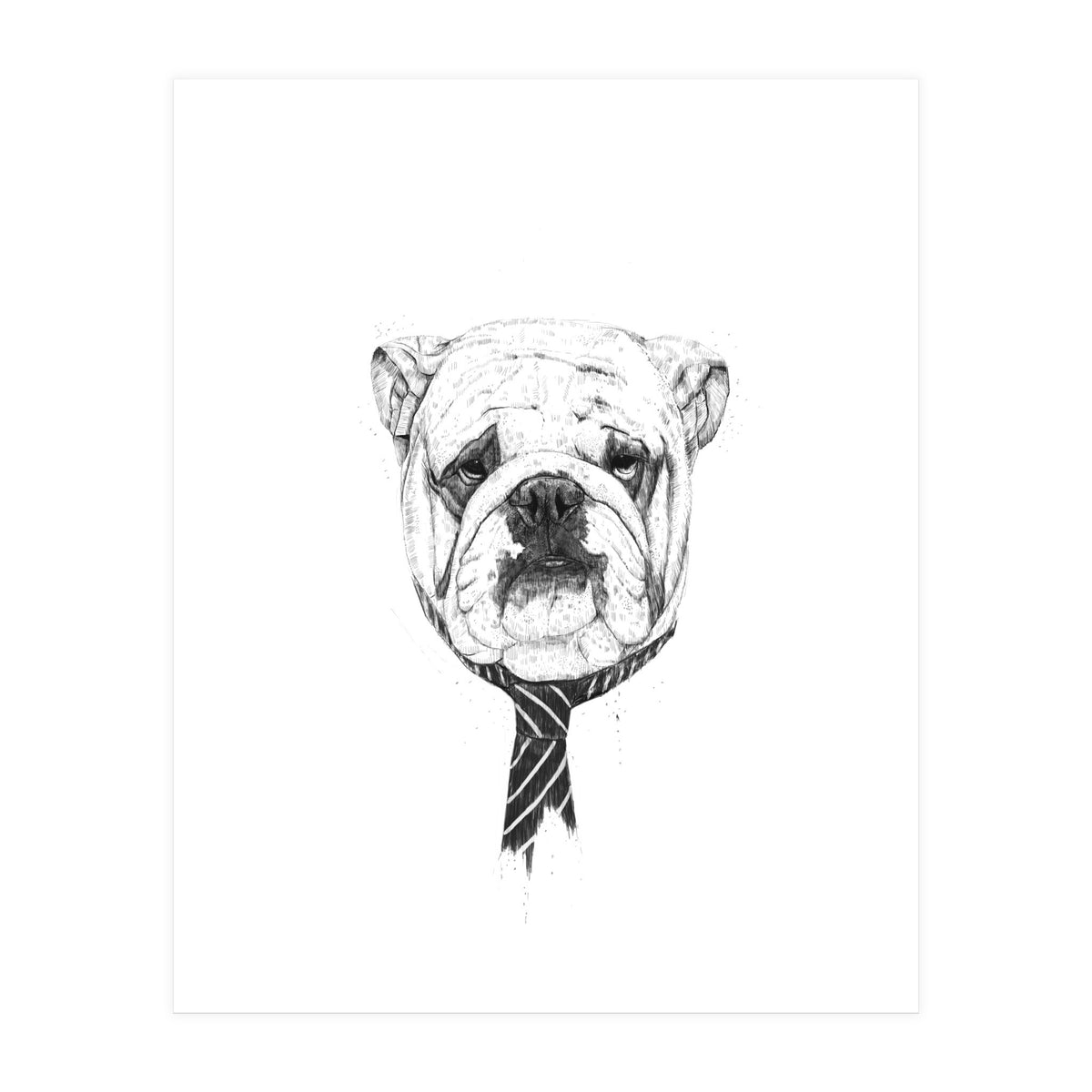 Cooldog (Print Only)