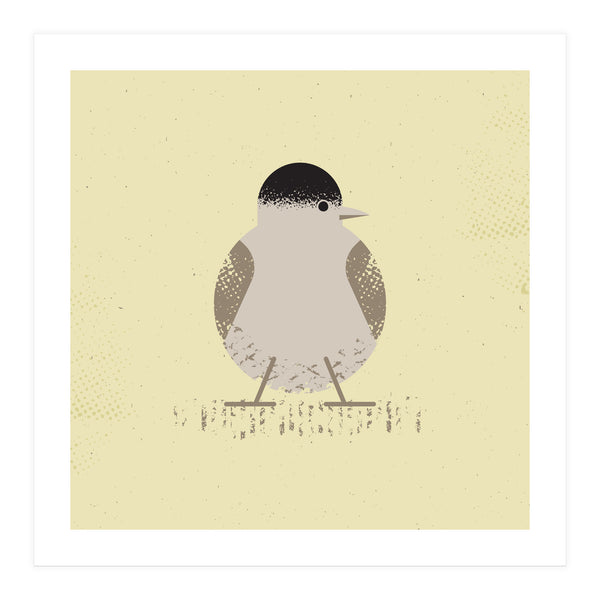 Blackcap 2 (Print Only)