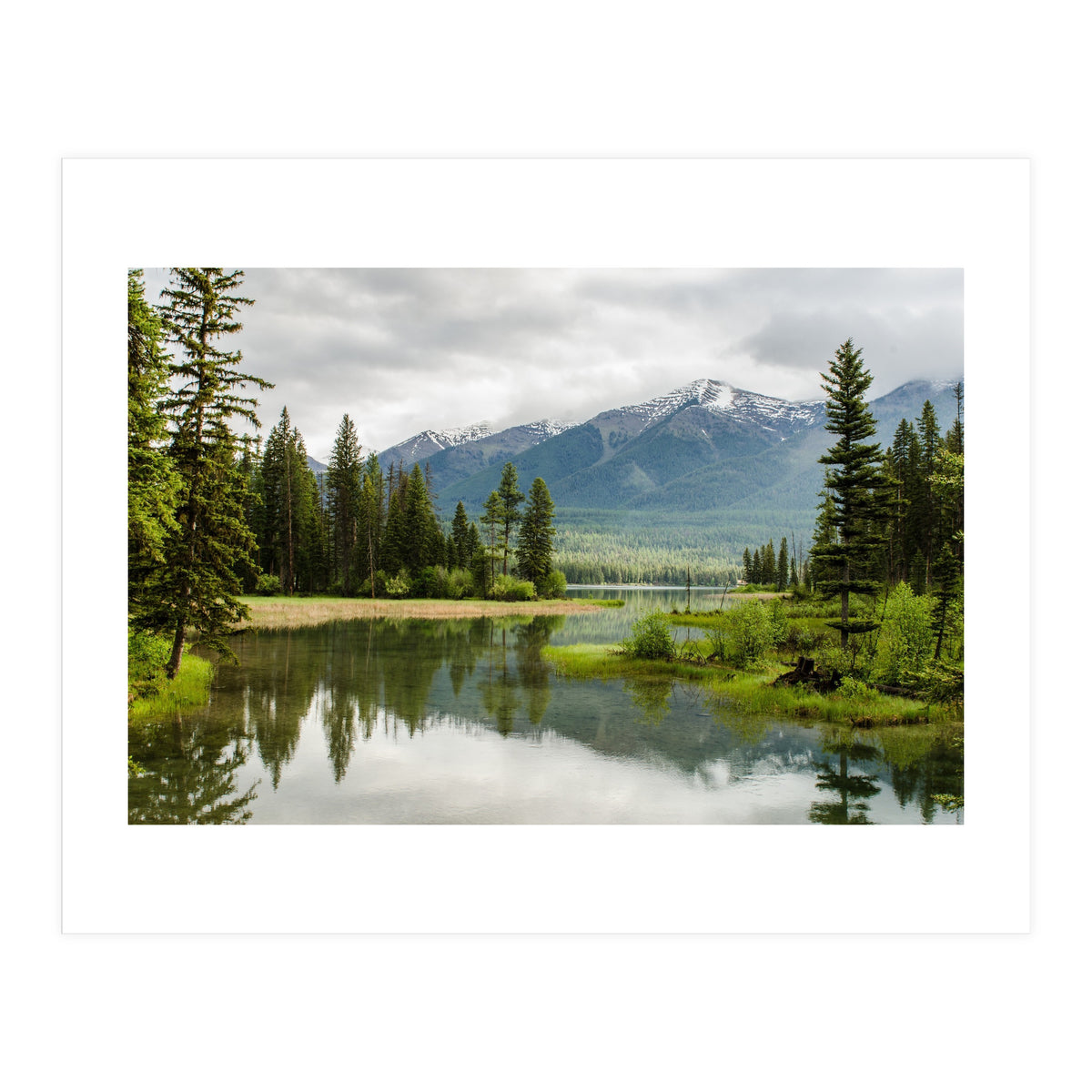 Nature (Print Only)