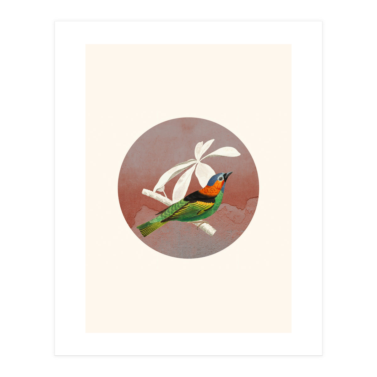 Bird Collage II (Print Only)