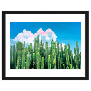 Cactus Summer by 83 Oranges