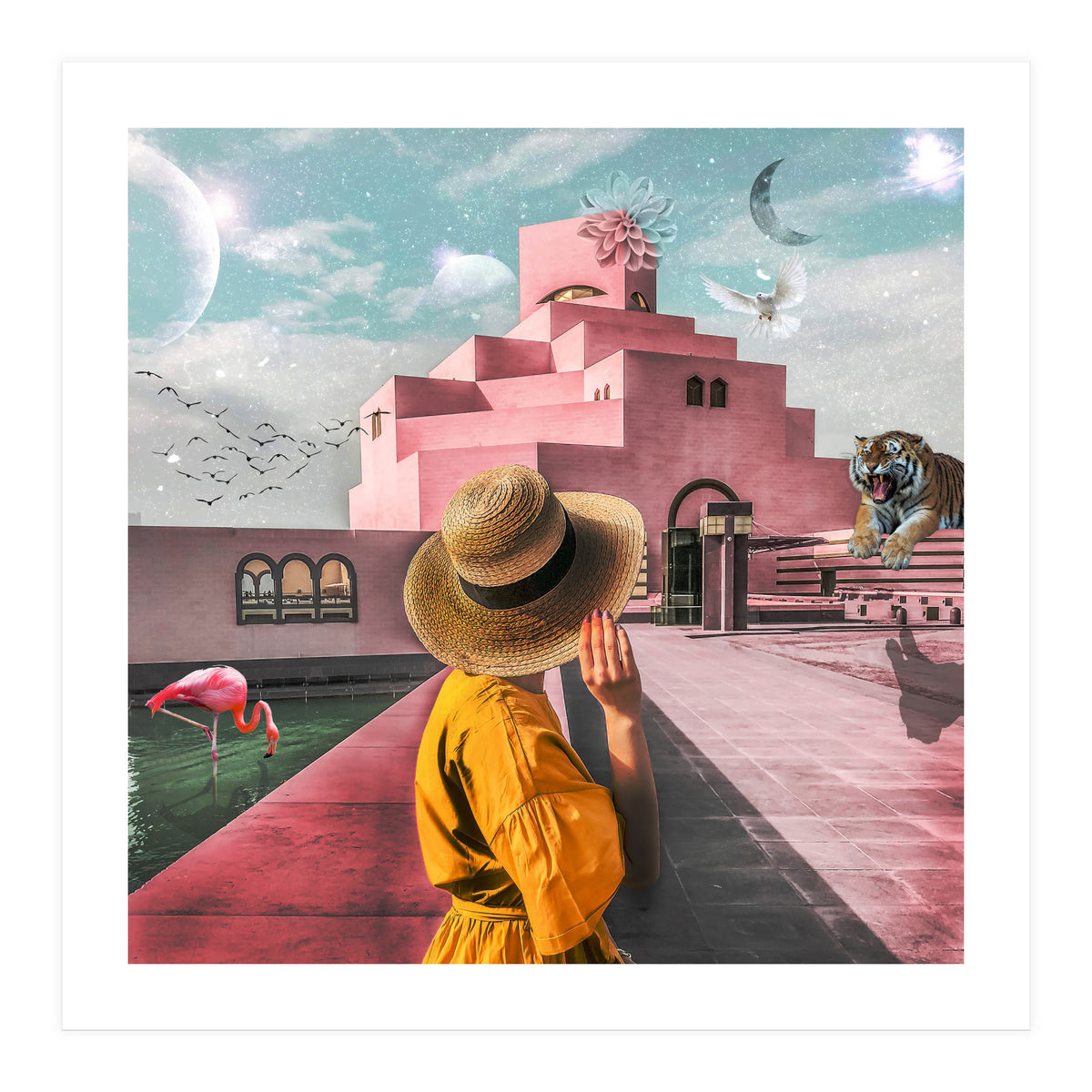 world (Print Only)