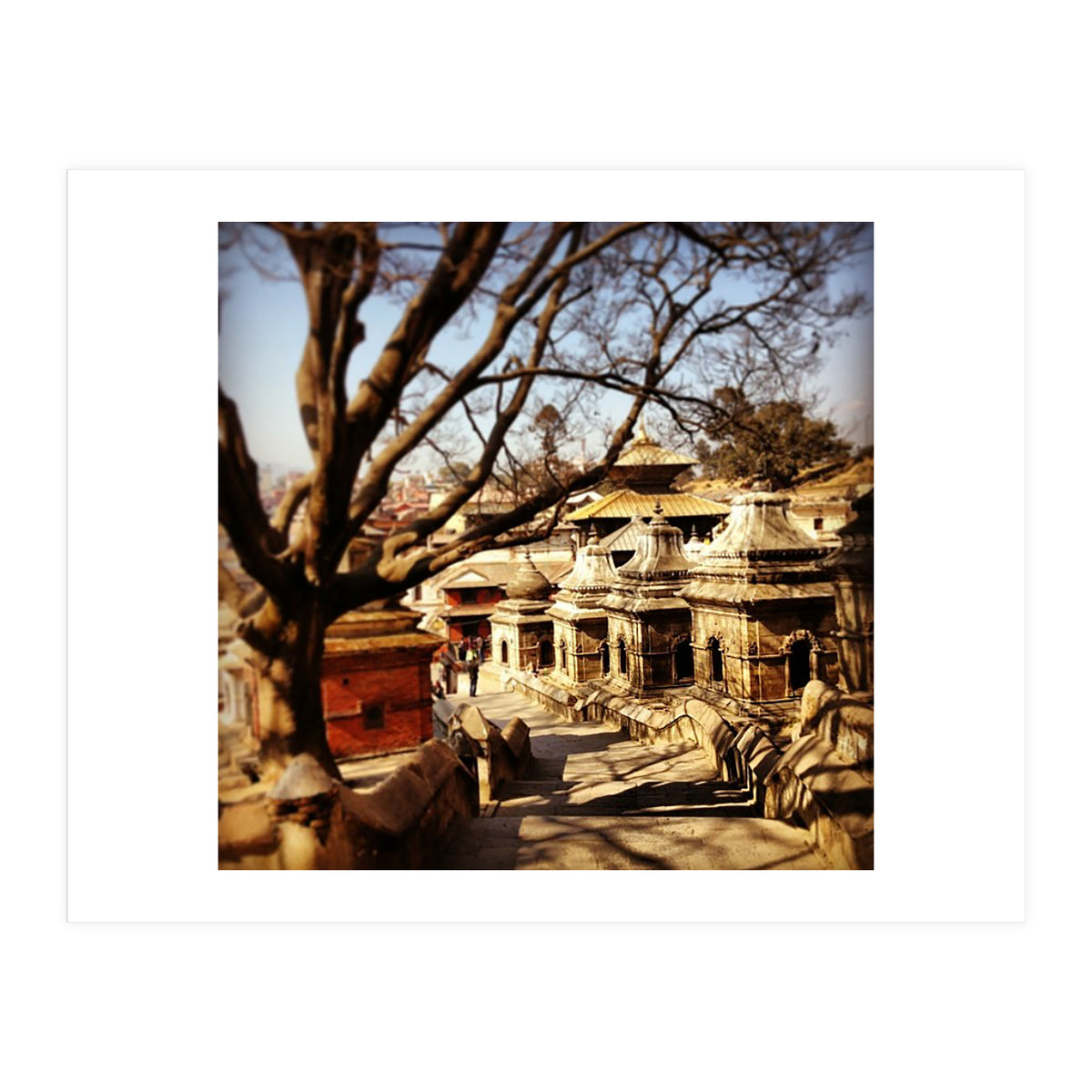 Pashupati Nath Ji (Print Only)