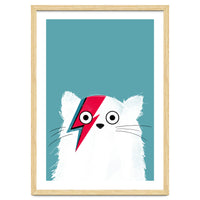 Doozal Cat Bowie White