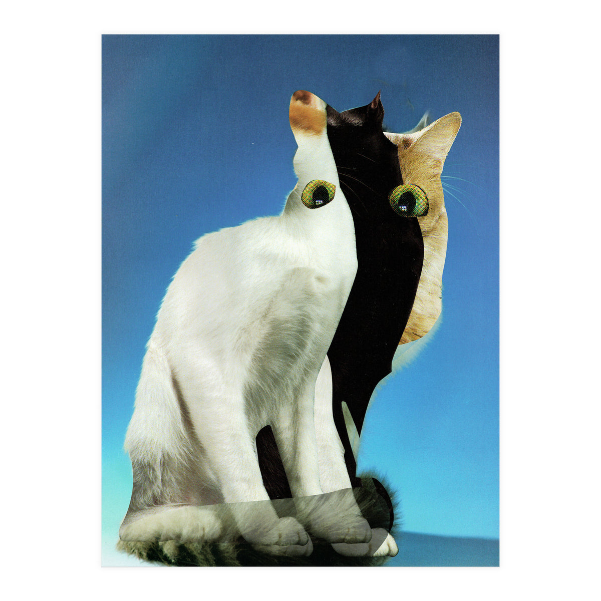 KatzenJammer 13 (Print Only)