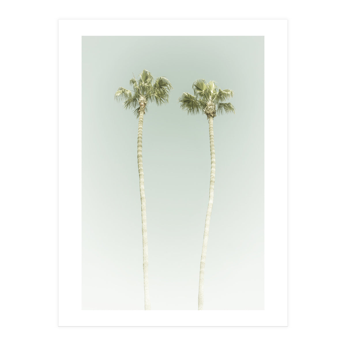 Vintage Palm Trees (Print Only)