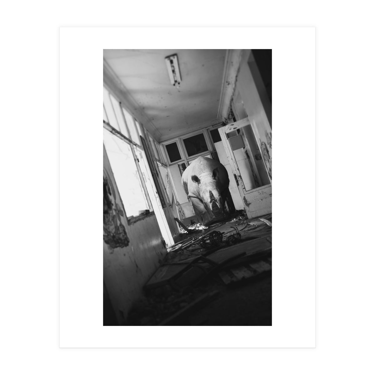 Clerk (Print Only)