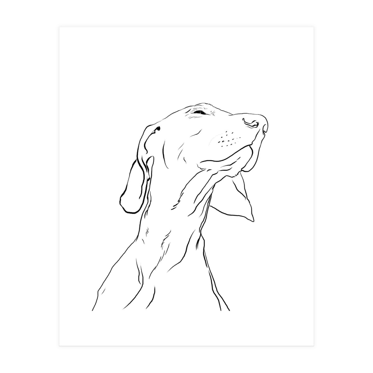 Smell (Print Only)