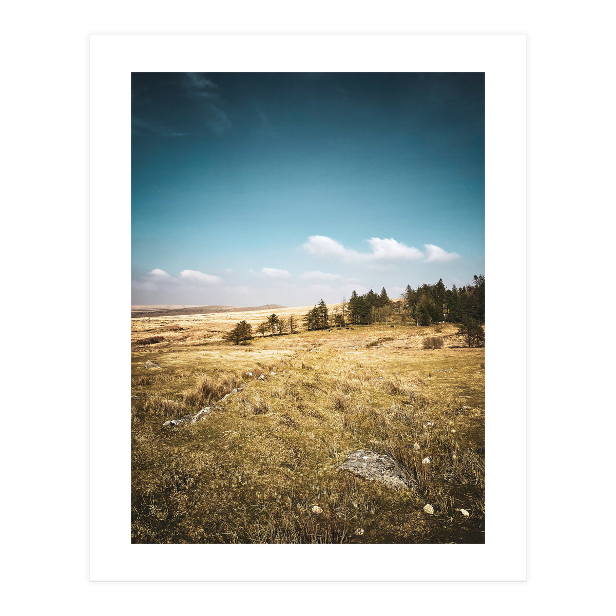 Dartmoor (Print Only)