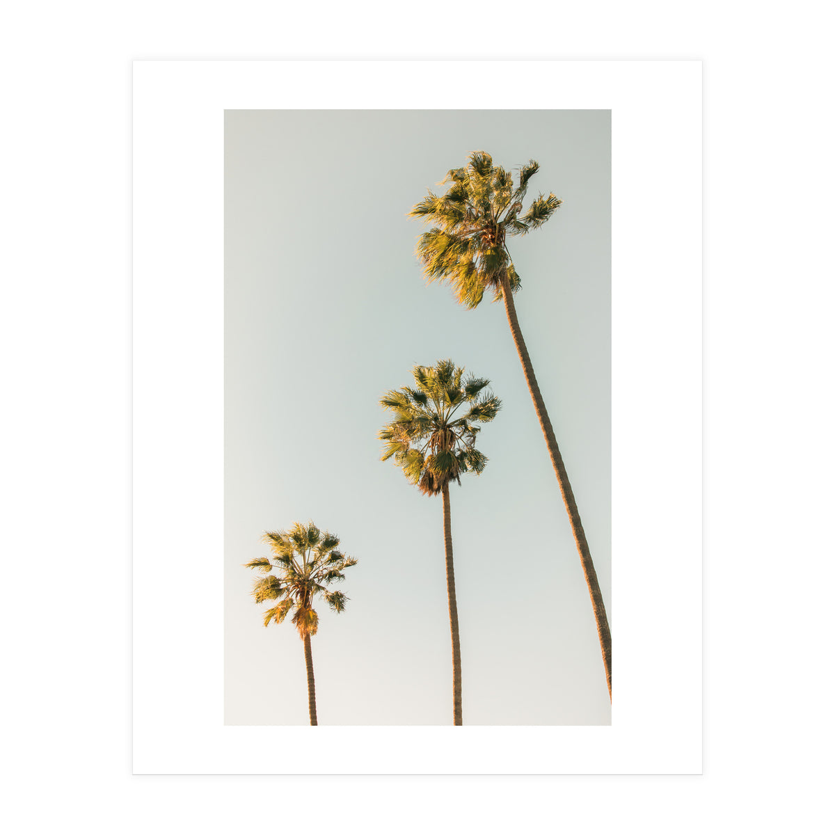 California (Print Only)