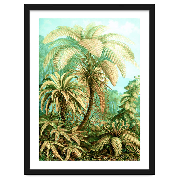 Vintage Tropical | Jungle Botanical Nature Banana Tree | Bohemian Plants Trees Forest