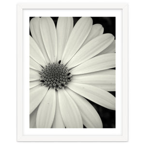 Simplicity by KTowers