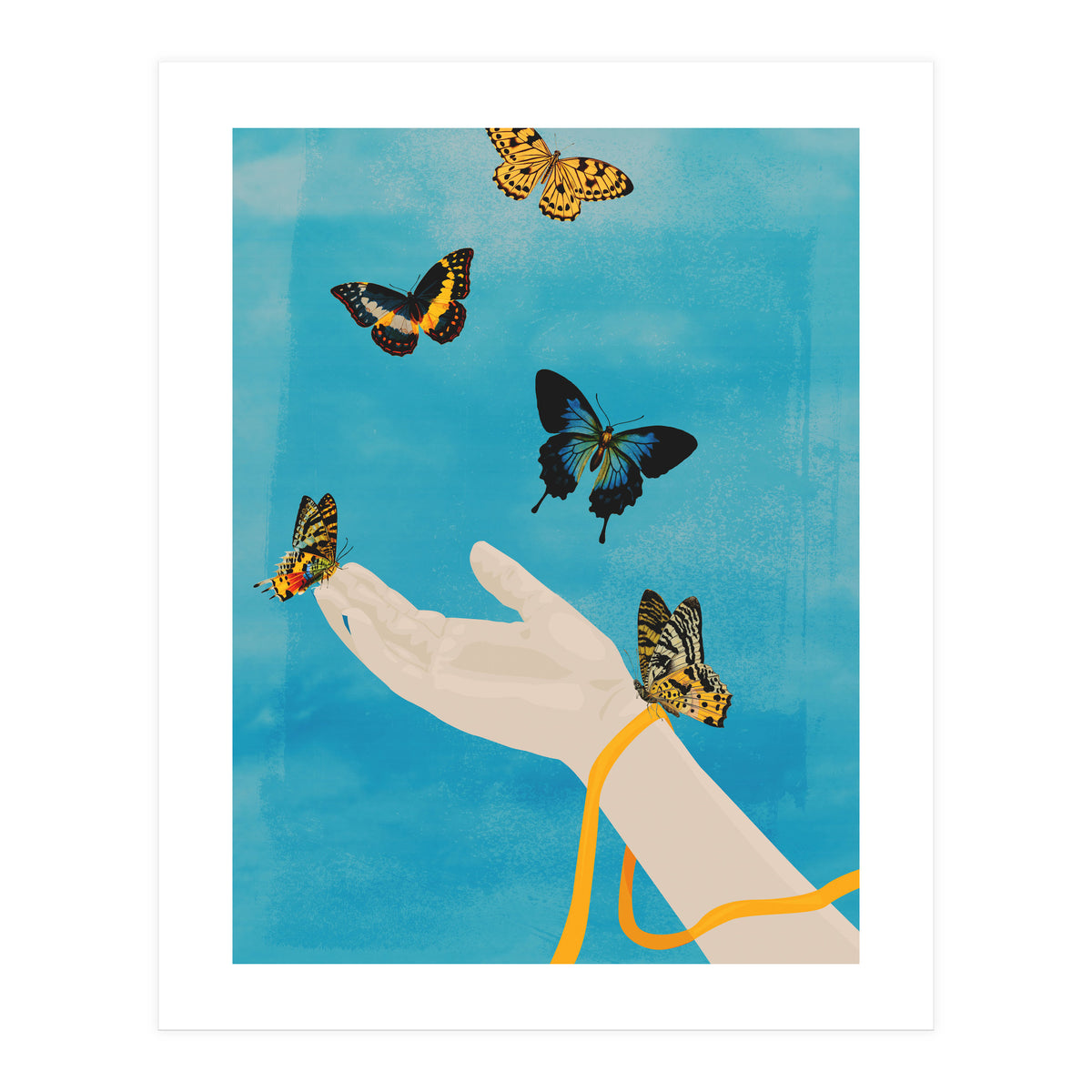 Freed (Print Only)