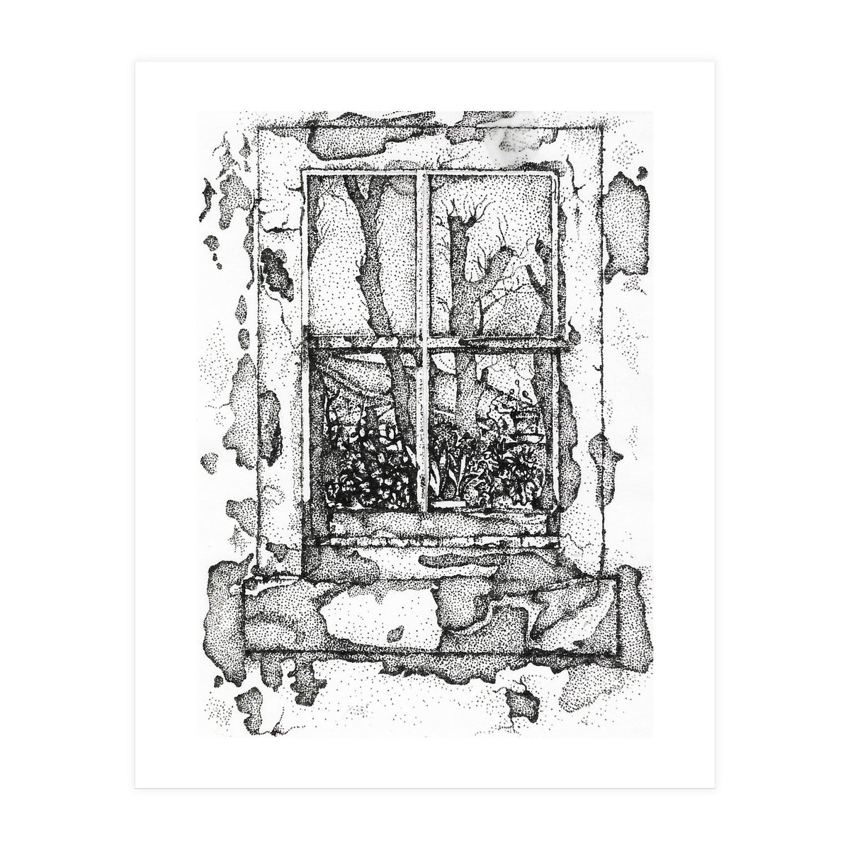 The window (Print Only)