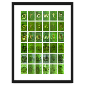 growth by Bjørn Karmann