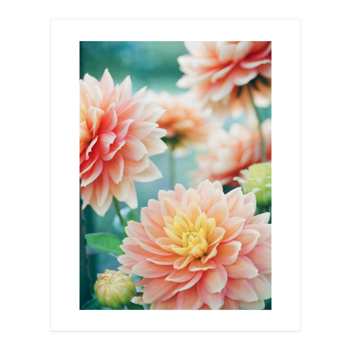 Happy Flowers (Print Only)