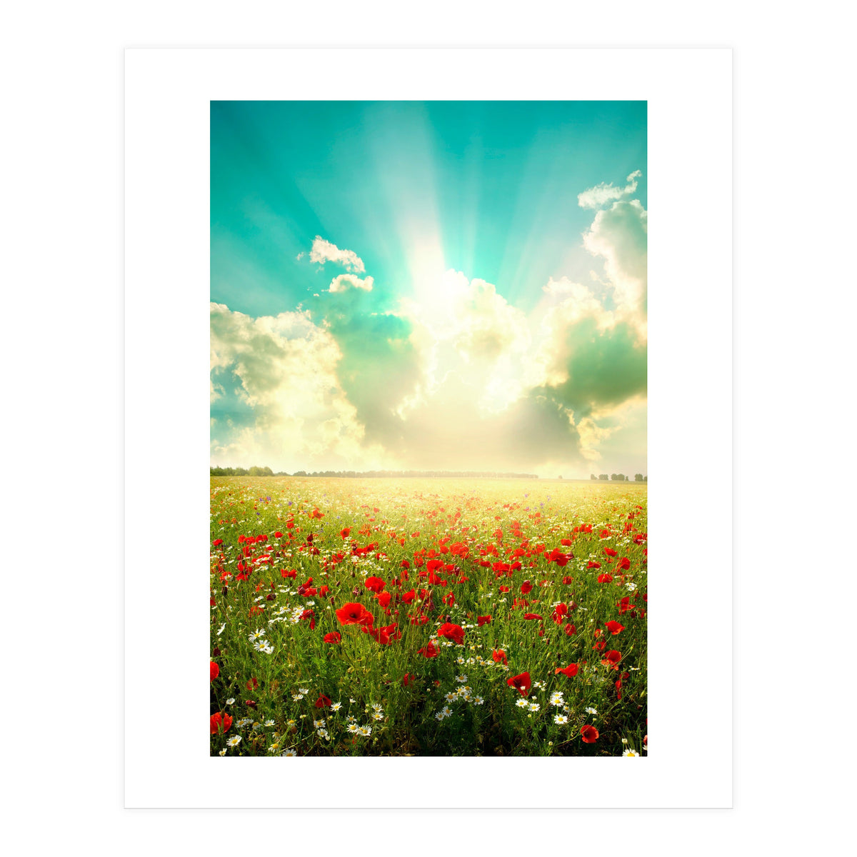 Nature (Print Only)