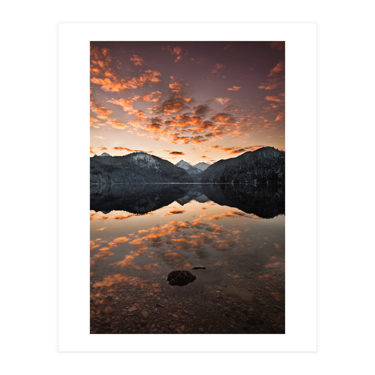 Magestic (Print Only)