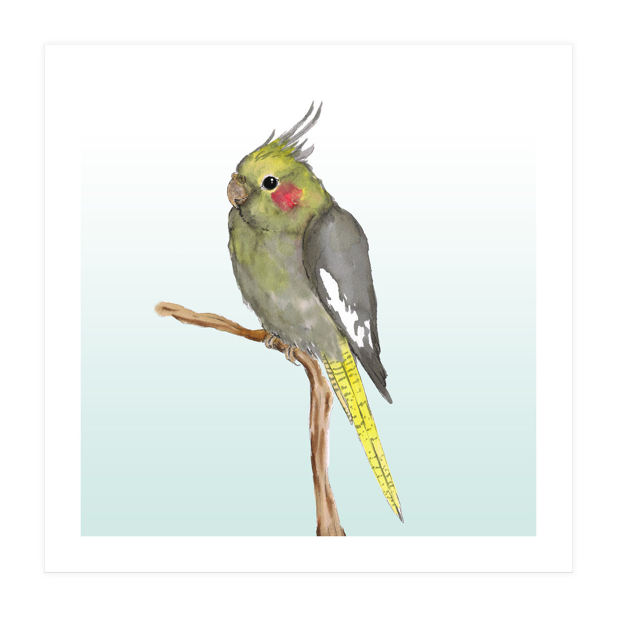 Cute cockatiel (Print Only)
