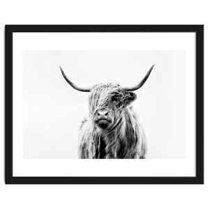 Portrait of a Highland Cow II by Dorit Fuhg
