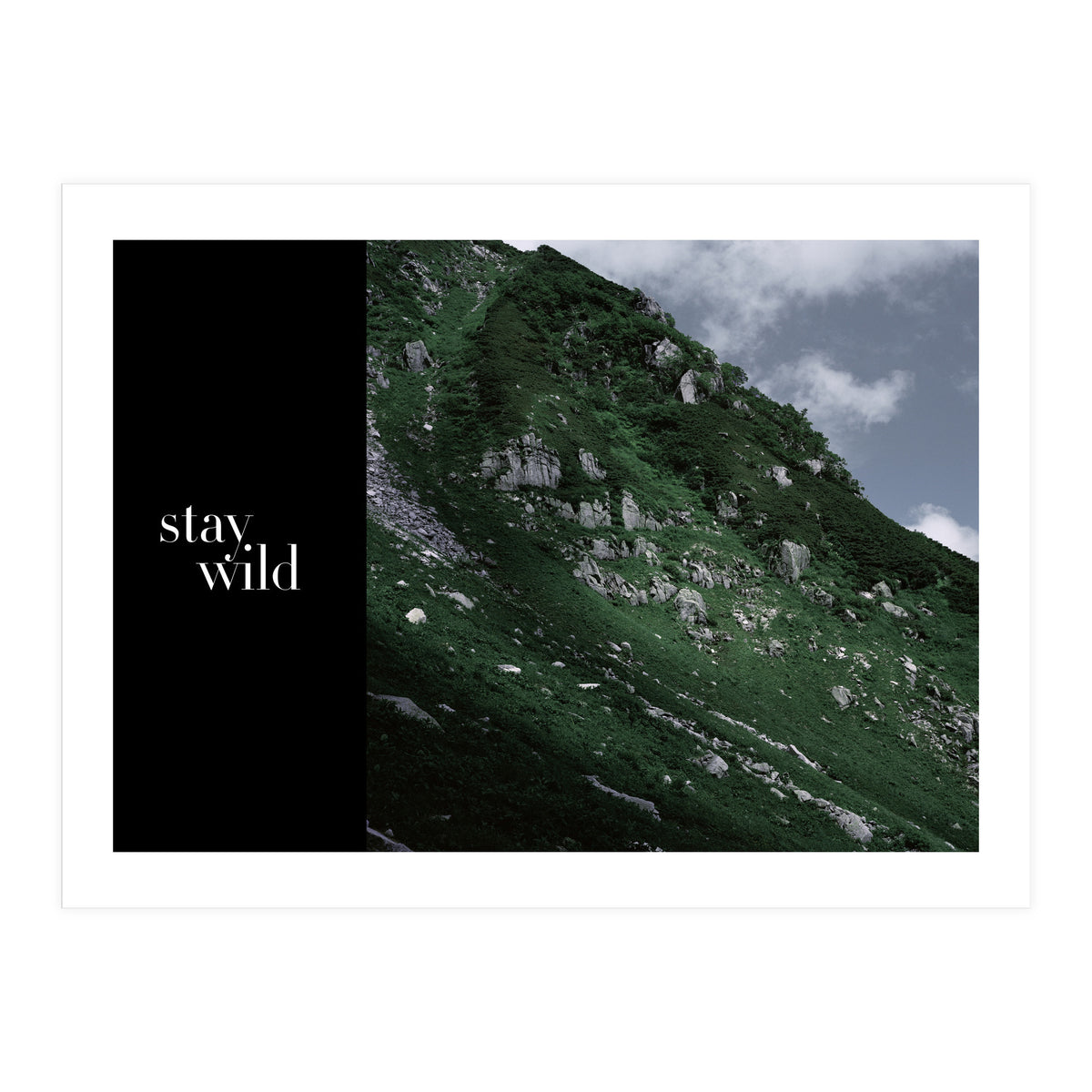 stay wild (Print Only)