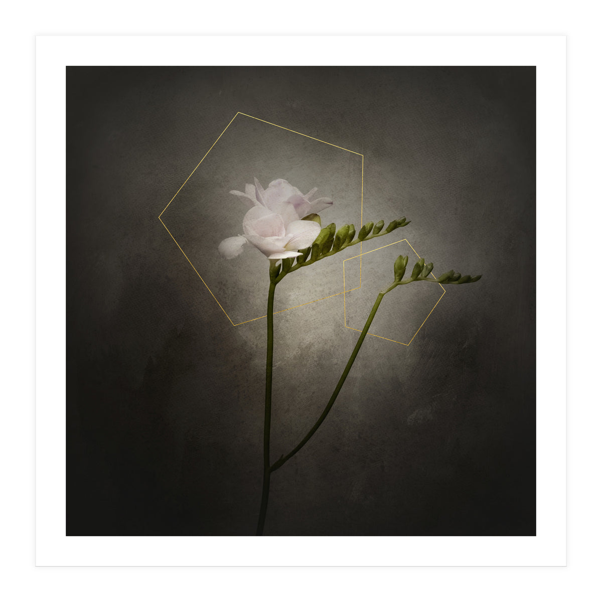 Graceful flower - Freesia | vintage style gold (Print Only)