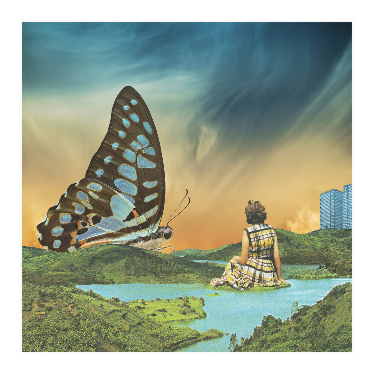 Wings (Print Only)