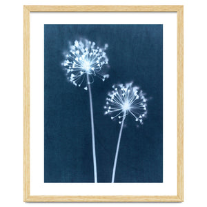 Indigo Dandelion by Gallery J9