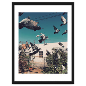 Birds! by Phillip Van