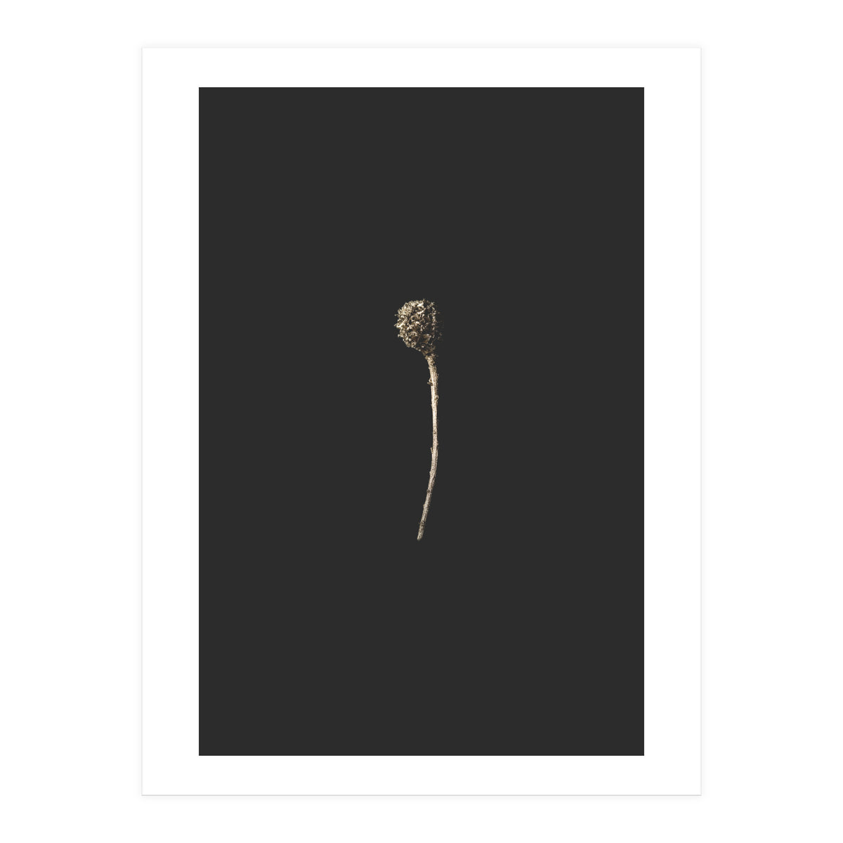 Simple Golden Botanical (Print Only)