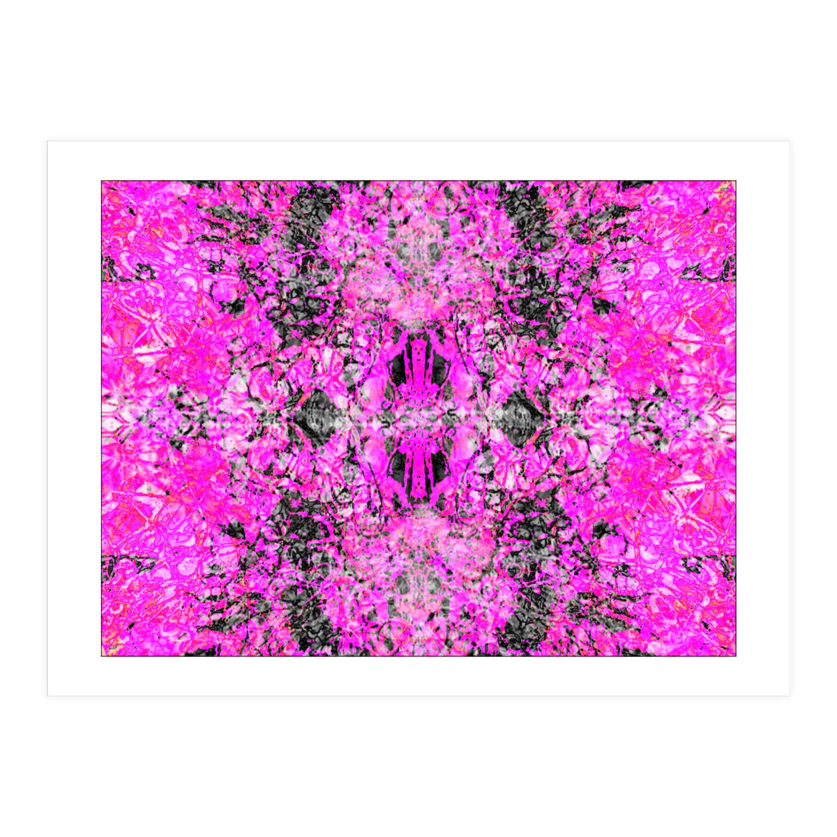 6 (Print Only)