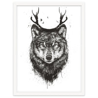 Deer Wolf Bw