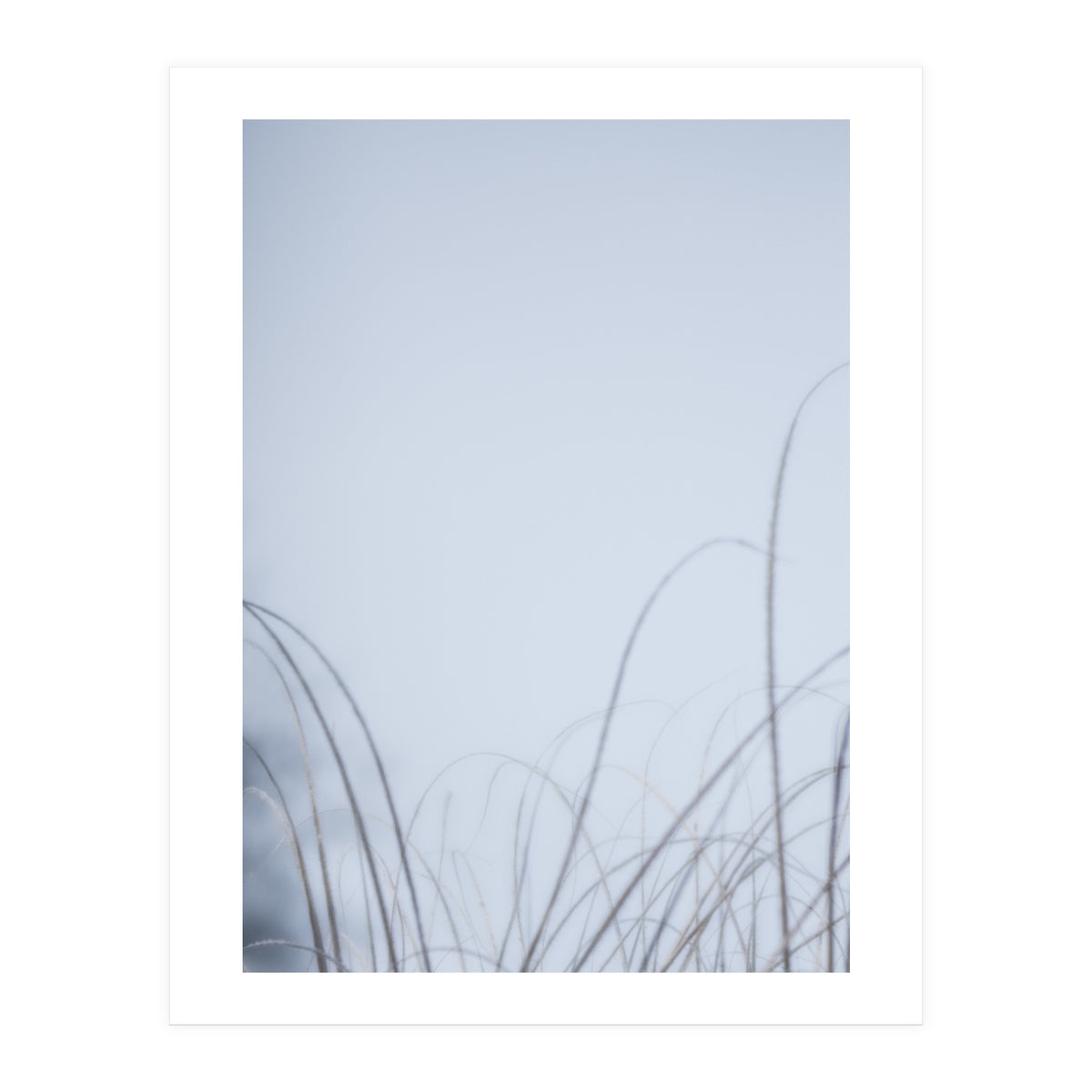 Forgotten Memories of Summer #20 (Print Only)