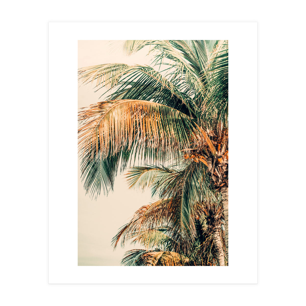 Tropic Summer (Print Only)