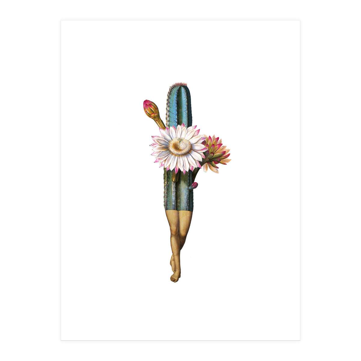 Night Bloomer (Print Only)